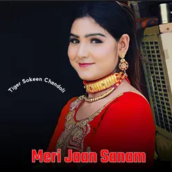 Meri Jaan Sanam