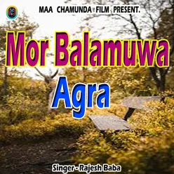 Mor Balamuwa Agra