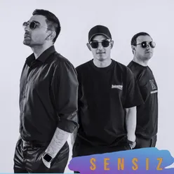 Sensiz