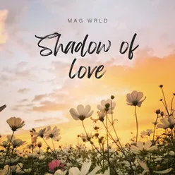 Shadow of Love