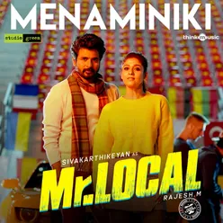 Mr.Local Theme