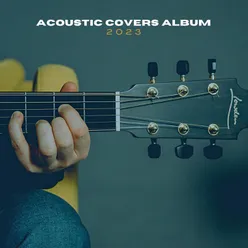 Stolen Dance Acoustic