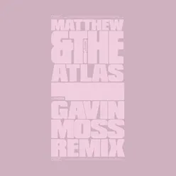 Palace Gavin Moss Remix