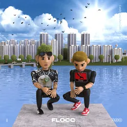 FLOCC Deluxe Version