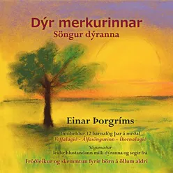 Sögurmaður VII