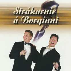 Strákarnir á Borginni