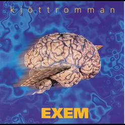 Kjöttromman