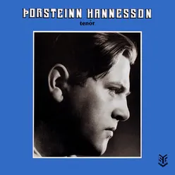 Þorsteinn Hannesson