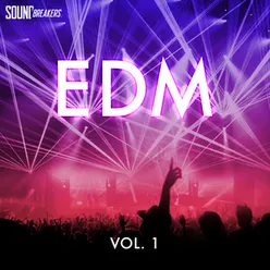 EDM, Vol. 1