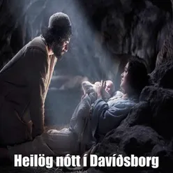 Heilög nótt í Davíðsborg