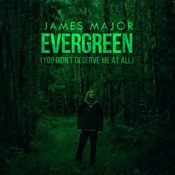 Evergreen (You Didn't Deserve Me At All)