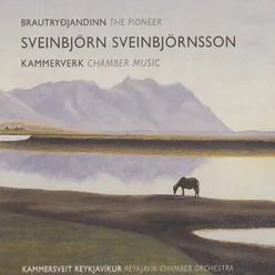 Sveinbjörn Sveinbjörnsson - Brautryðjandinn