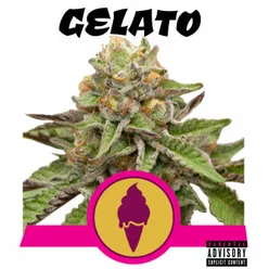 Gelato