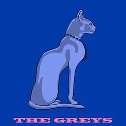 The Greys with Strings
