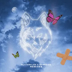 Butterflies & Bandaids Hapi Lofi Remix