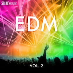 EDM, Vol. 2