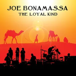 The Loyal Kind Live