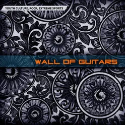 Wall Of Guitars