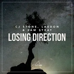 Losing Direction