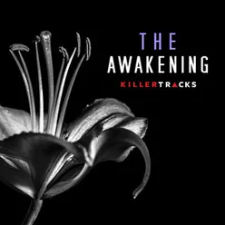 The Awakening