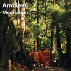 Ambient Meditation with Monk, Pt. 2