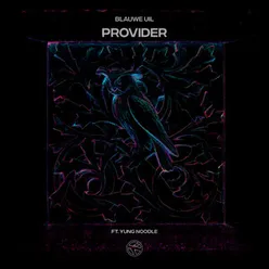 Provider