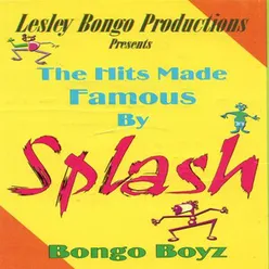 The Hits Made Famous By Splash