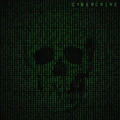 Cyber Crime