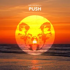 Push