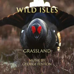 Wild Isles: Grassland