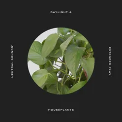 Daylight & Houseplants