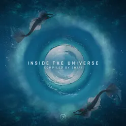 Inside The Universe