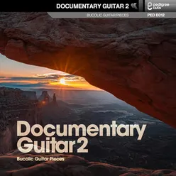 Documentary Guitar 2
