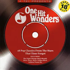 One Hit Wonders