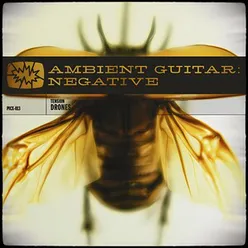 Ambient Guitar Negative