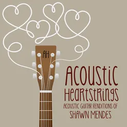 Acoustic Guitar Renditions of Shawn Mendes