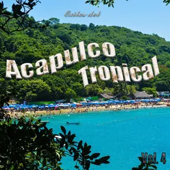 Exitos Del Acapulco Tropical Vol. 4