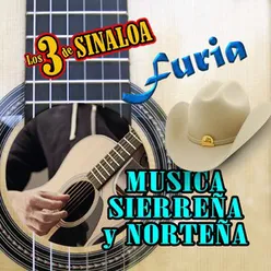 Musica Sierreña y Norteña