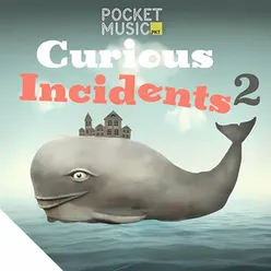 Curious Incidents 2