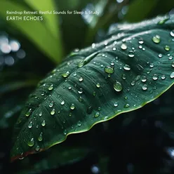 Peaceful Rainforest Shower