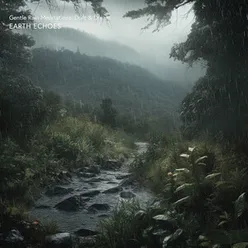 Rainfall in a Quiet Forest