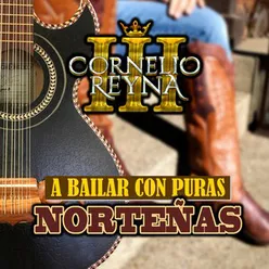 A Bailar Con Puras Norteñas