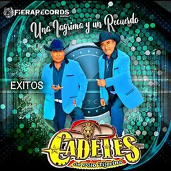 Una Lágrima Y Un Recuerdo, Exitos