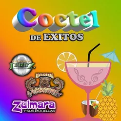 Coctel De Exitos