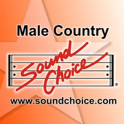 Karaoke - Contemporary Male Country - Vol. 41