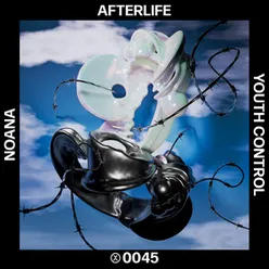 Afterlife