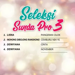 Seleksi Sunda Pro 3