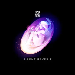 Silent Reverie, Vol. 2