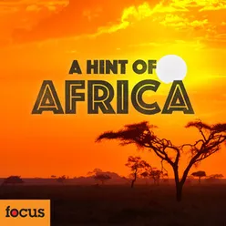 A Hint of Africa