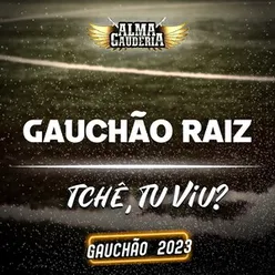 Gauchão Raiz - Tchê, Tu Viu?